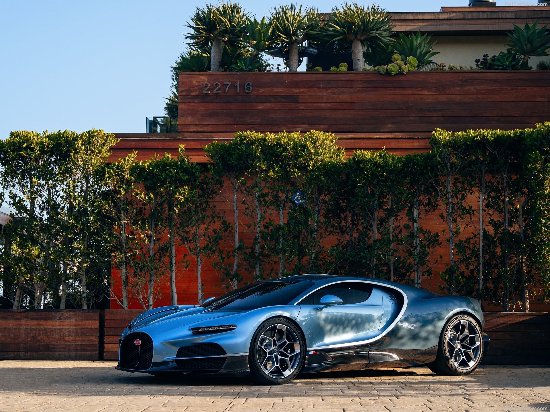 Bugatti Tourbillon Detail
